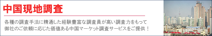 中国マーケット現地調査